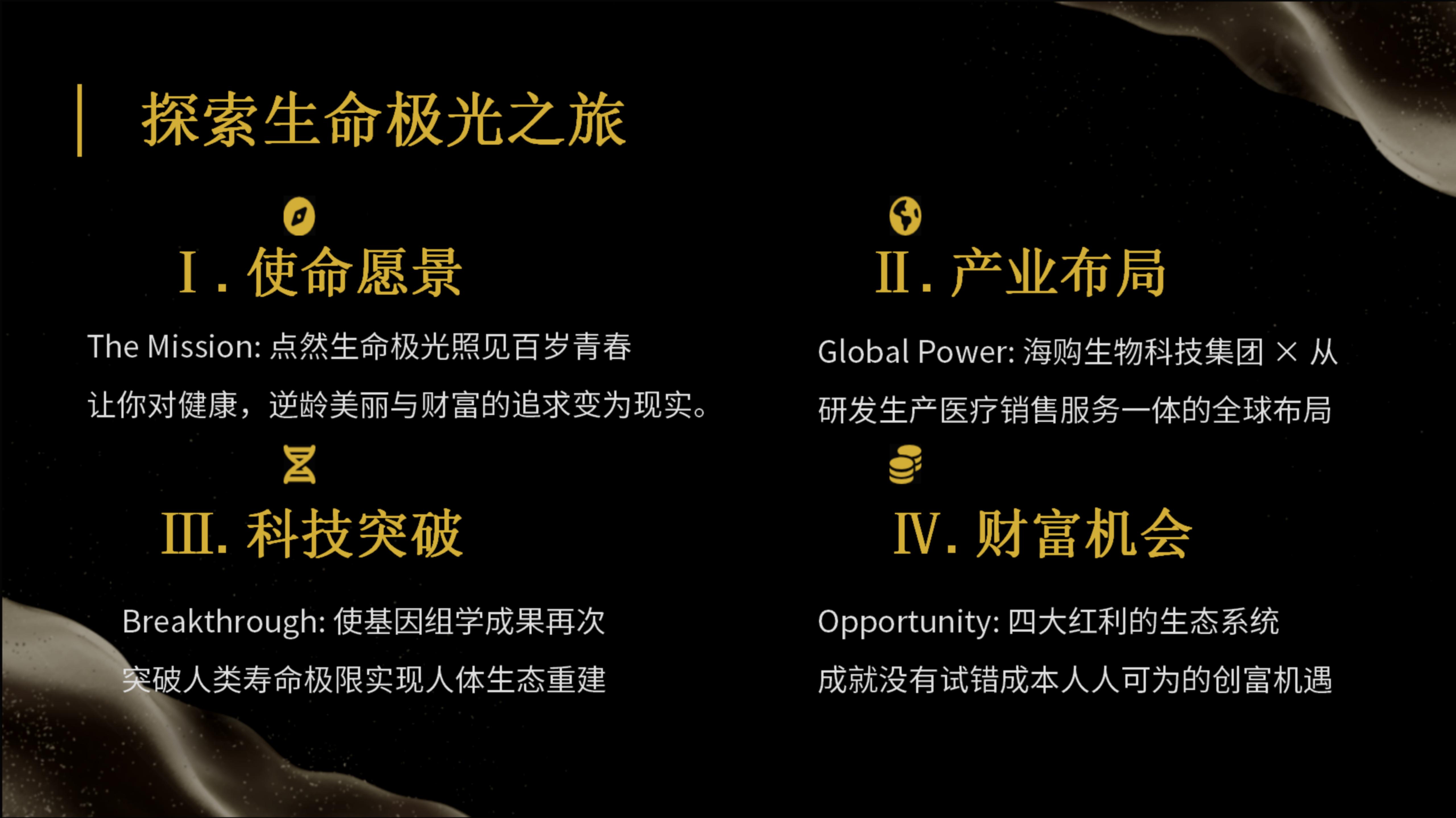 2026年海购全球事业-最新课件_02.jpg