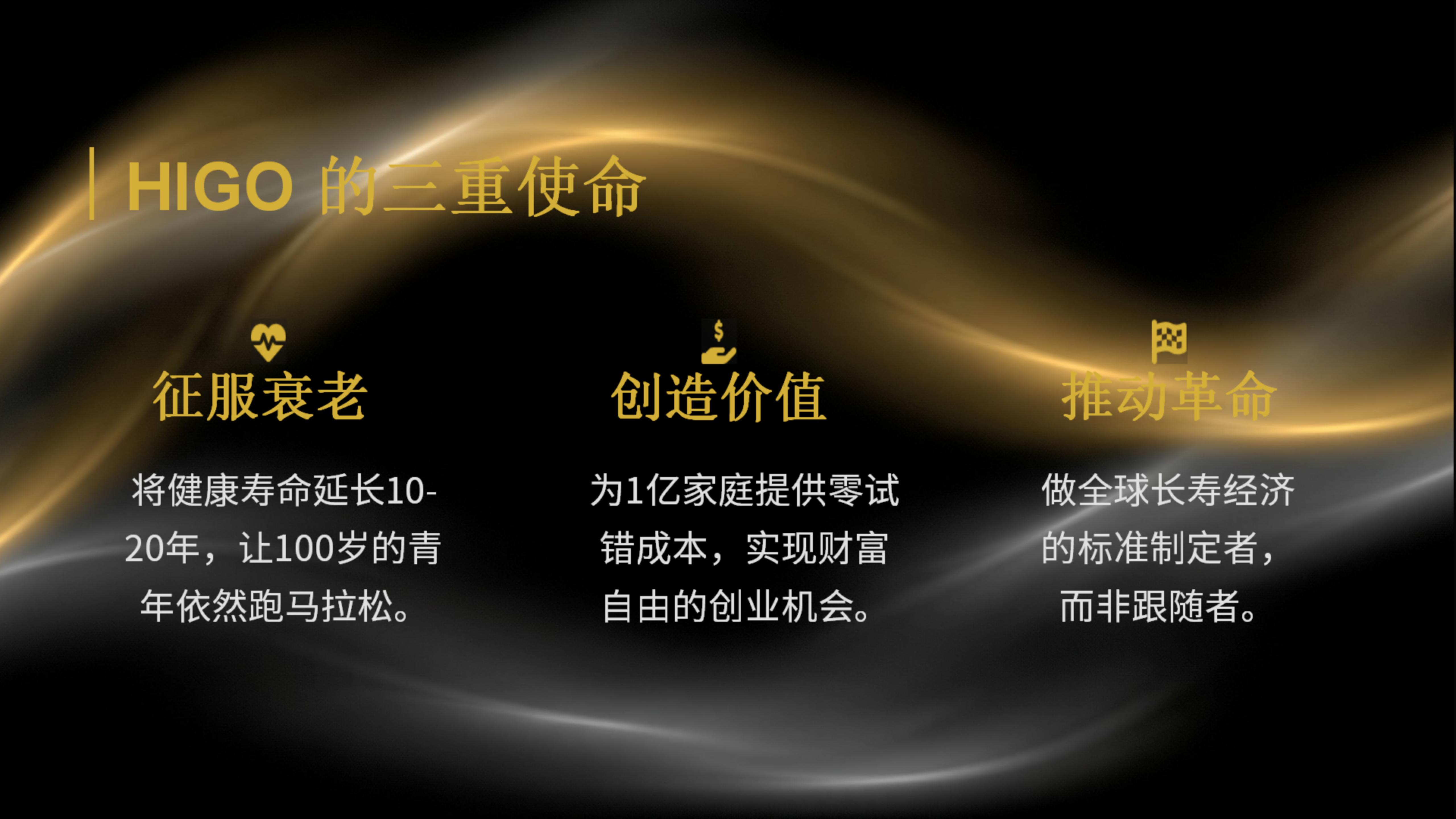 2026年海购全球事业-最新课件_03.jpg