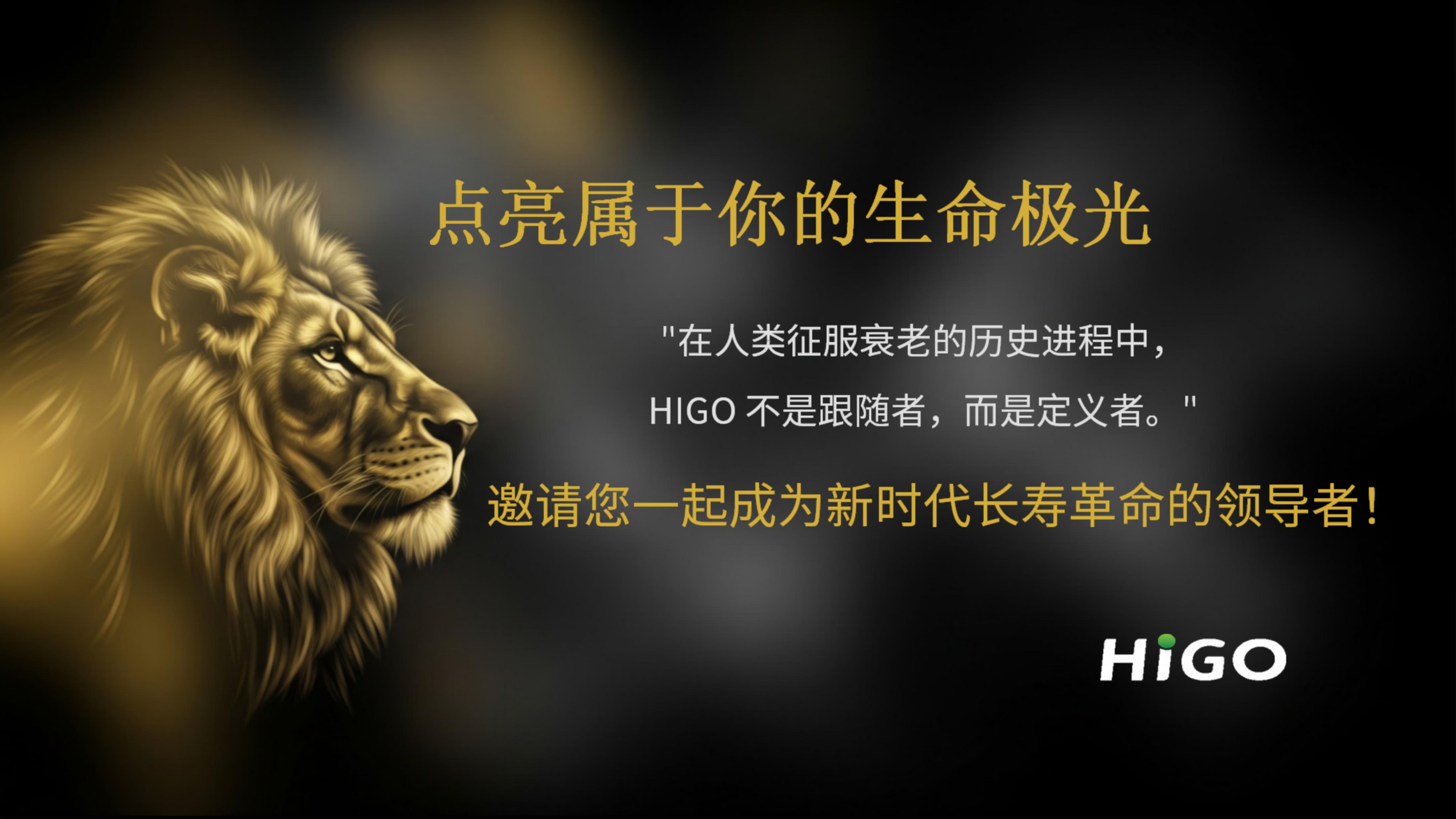 越南下龙湾年会